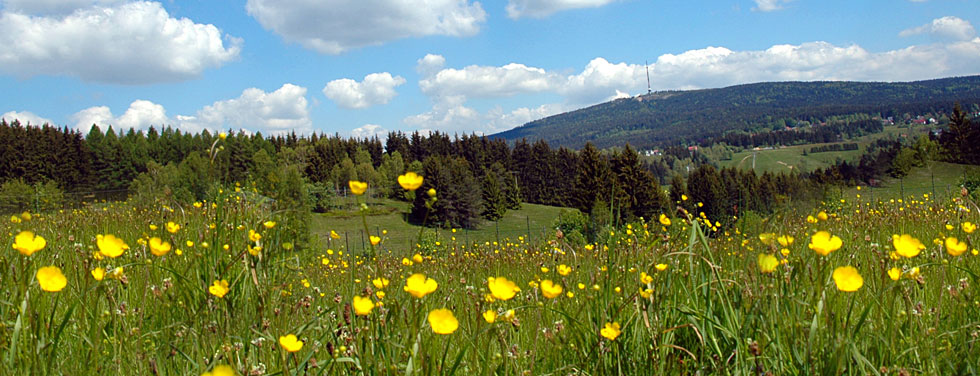 Karte Bayerischer Wald